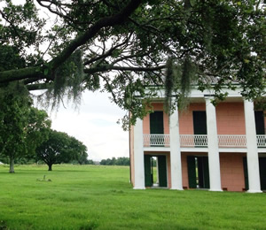 Louisiana plantation house with draping Spanish moss